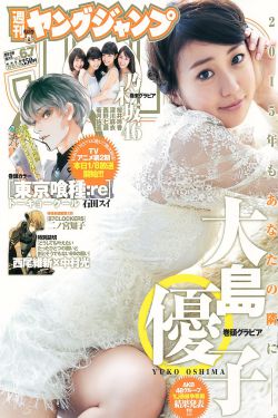 变形金刚4:绝迹重生